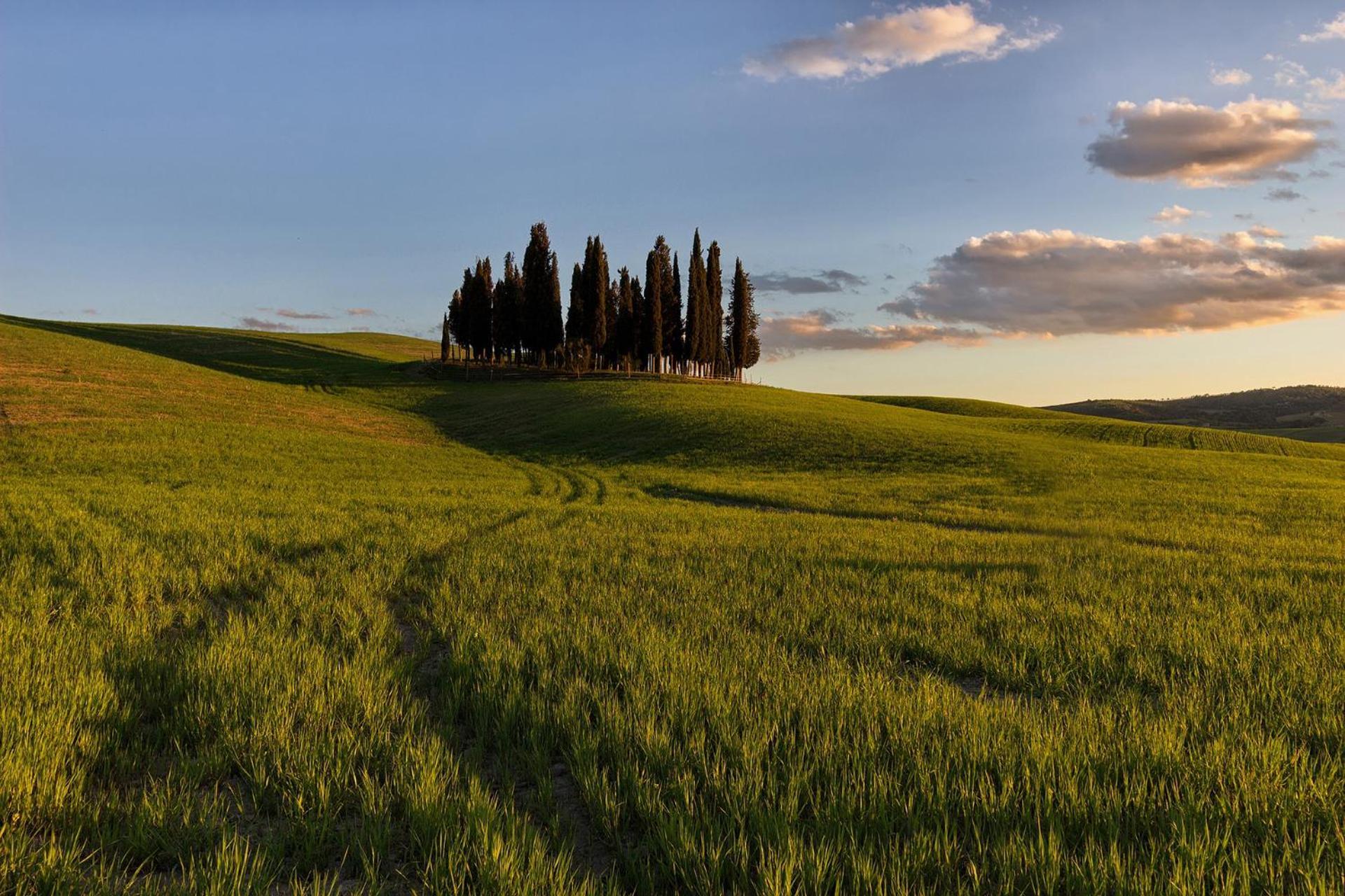 Appartamento Casa Giulia, Il Gioiello Del Borgo Certaldo Esterno foto